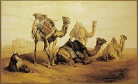 camel-painting